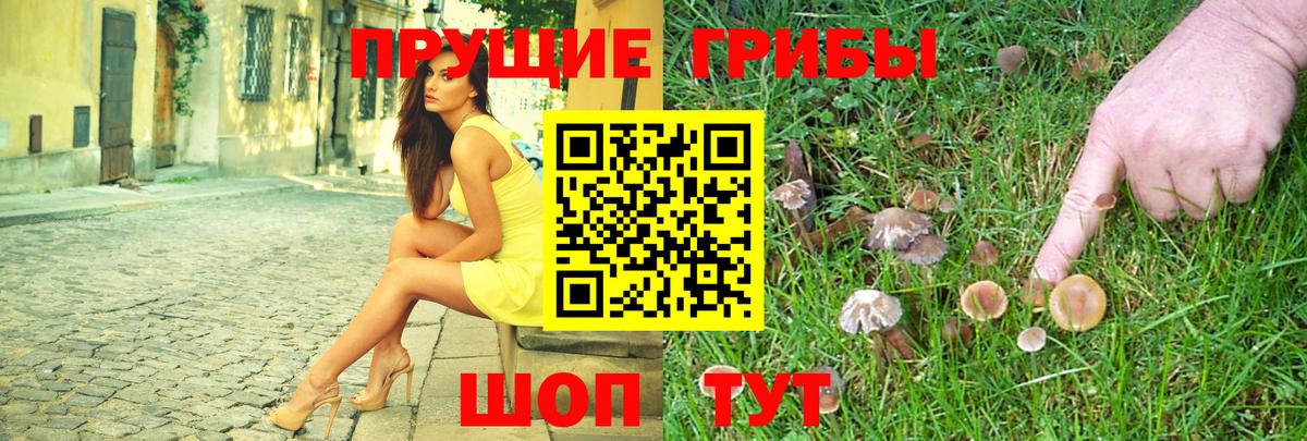 Псилоцибиновые грибы прущие грибы Северодвинск